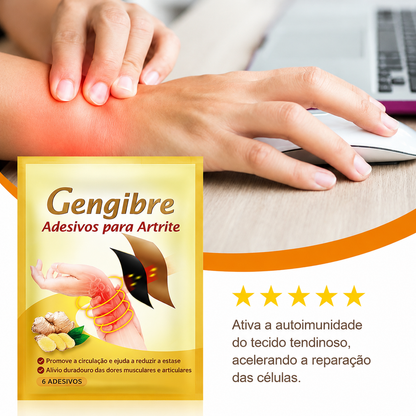 Viora GingerPatch™ | Adesivos Naturais para Alívio Muscular e Articular